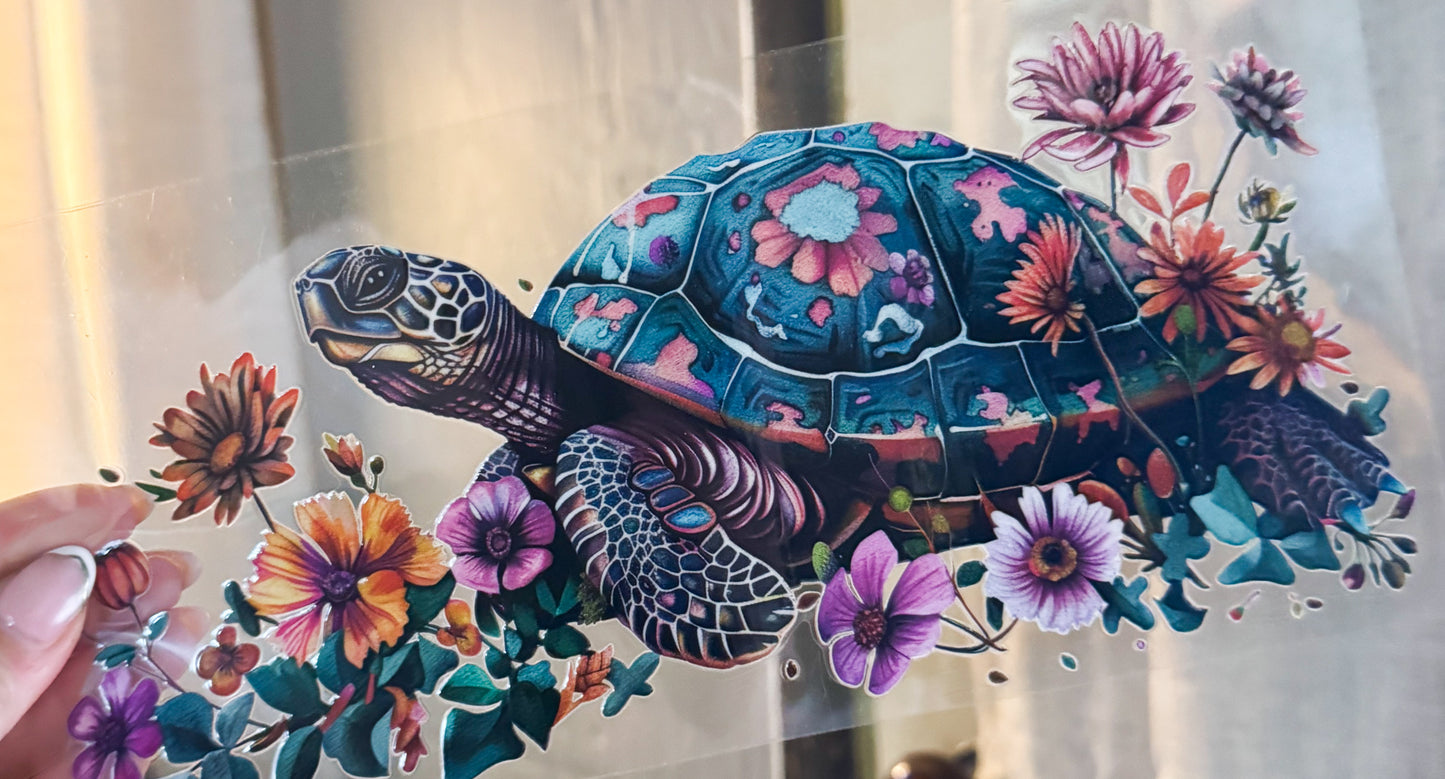 Turtle 3