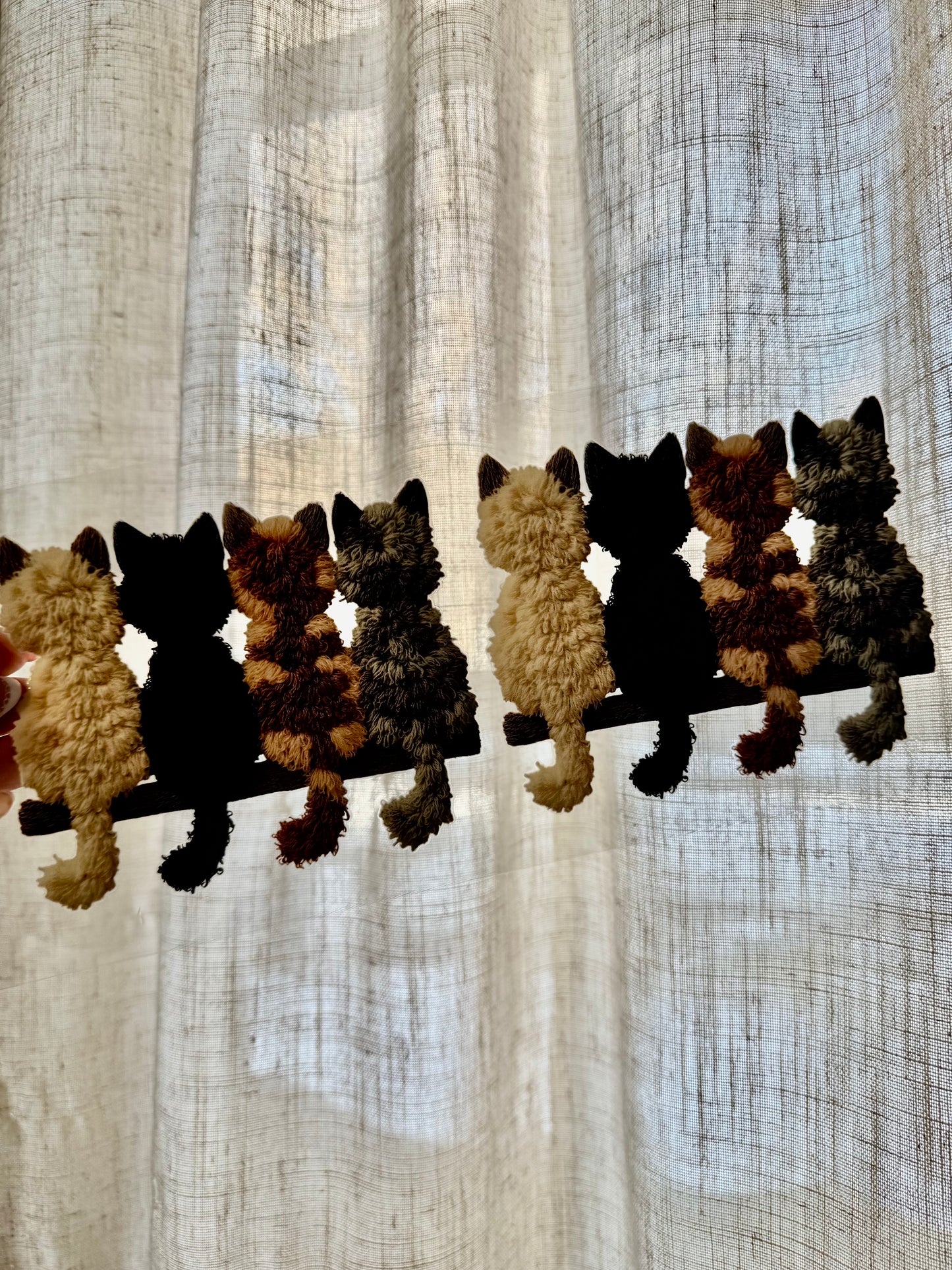 Cats