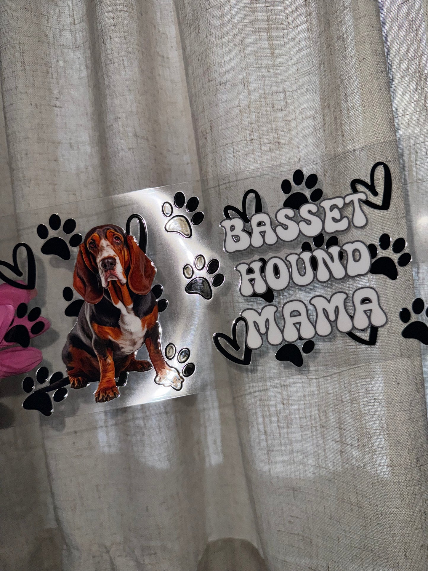 Basset Hound