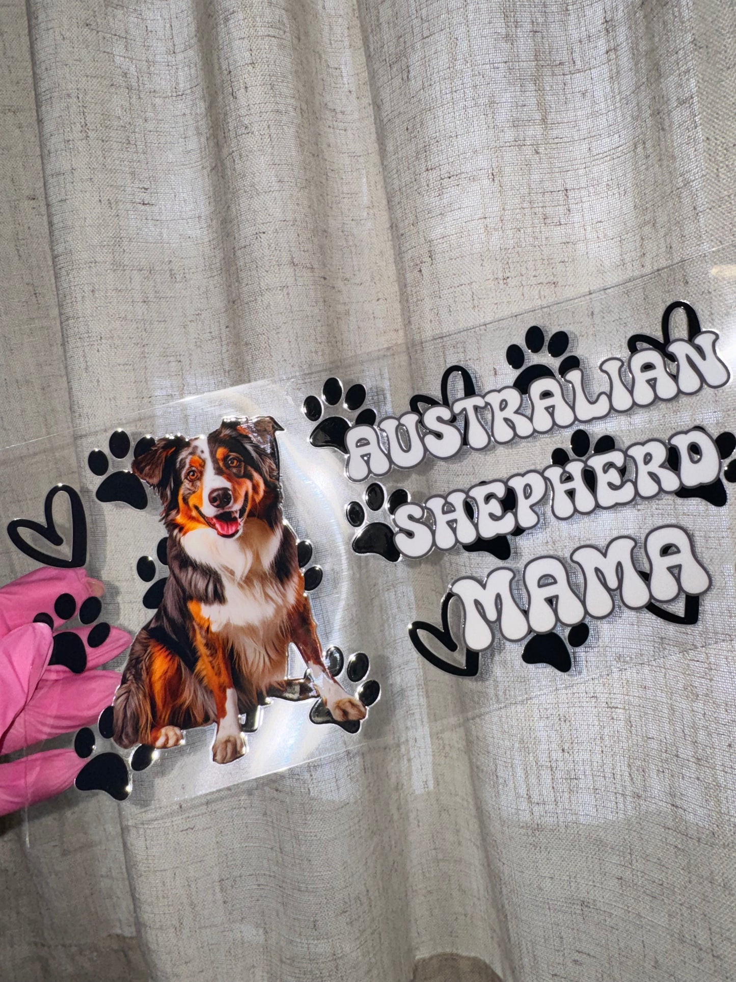 Australian Shepherd