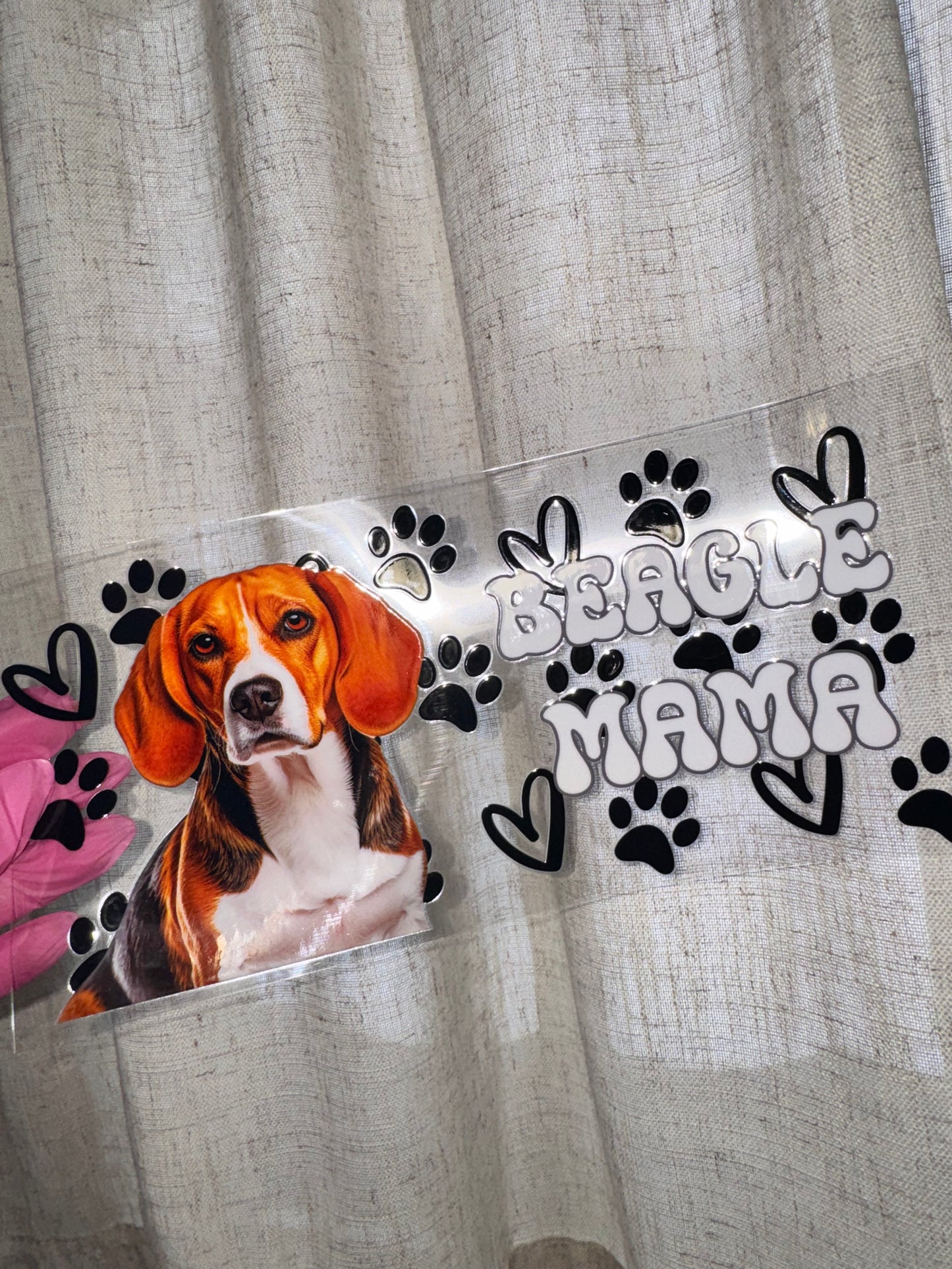 Beagle
