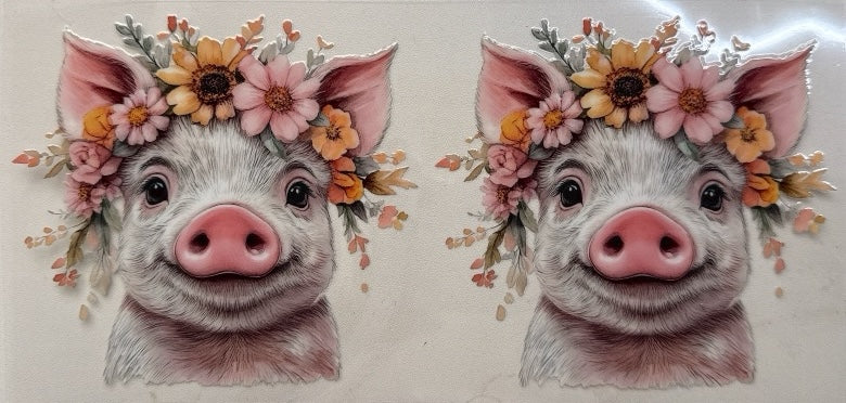 Piggy