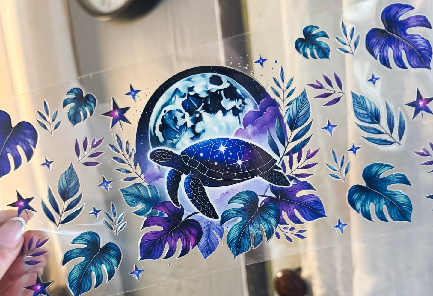 Turtle 2