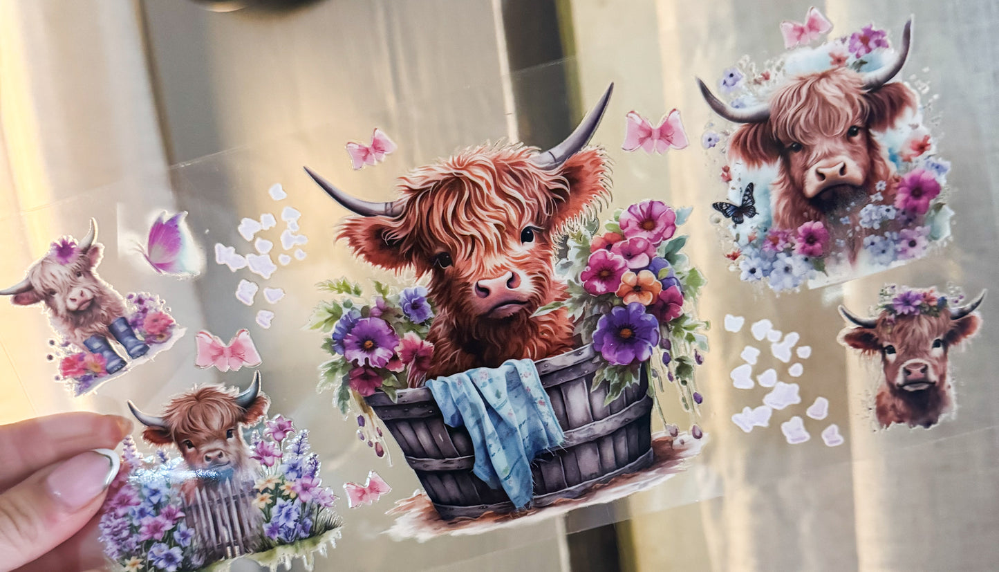 Cow