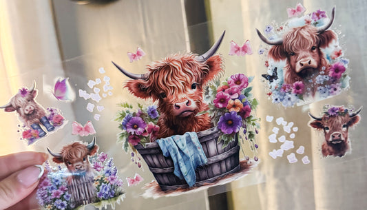 Cow