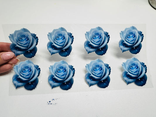 Blue Roses