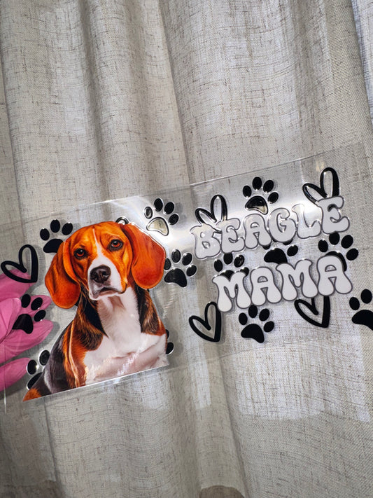 Beagle