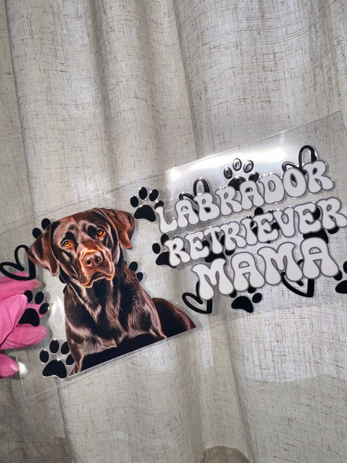 Labrador Retreiver